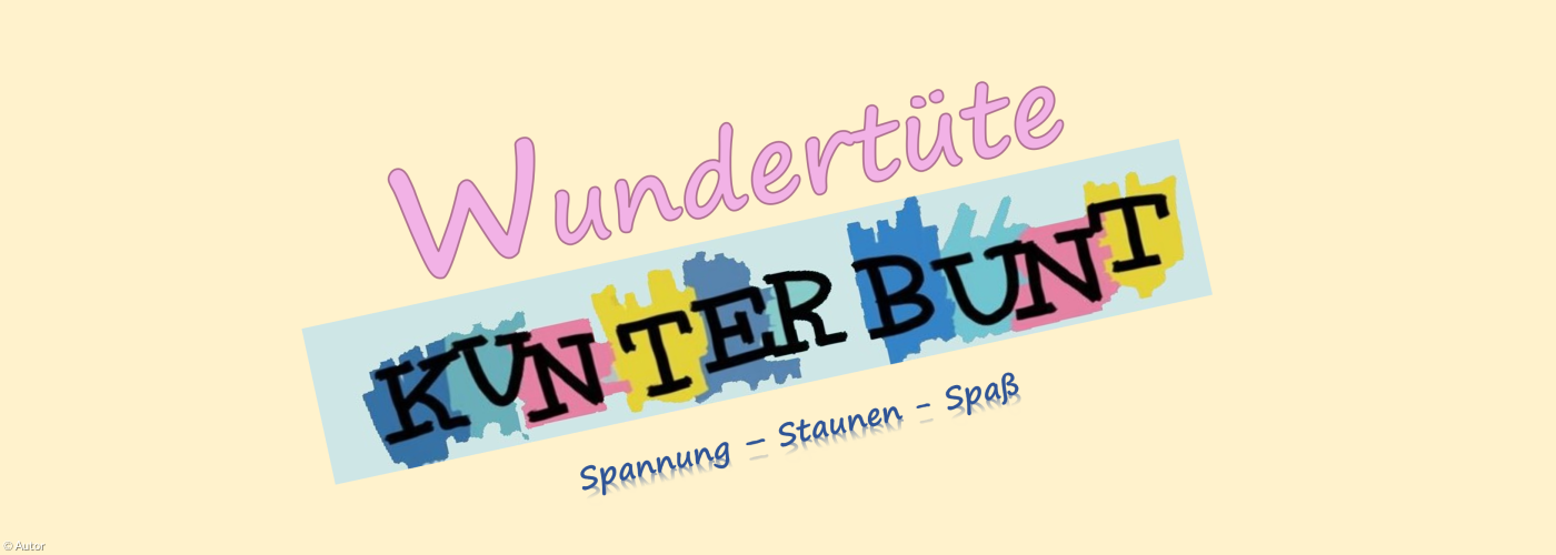 Logo Wundertüte