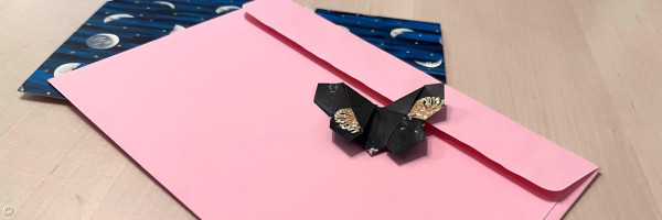 Rose Briefumschlag und Postkarte nit Nachthimmel