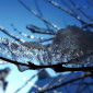 Eiszauber im Pfarrhof