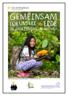 Sternsinger Plakat