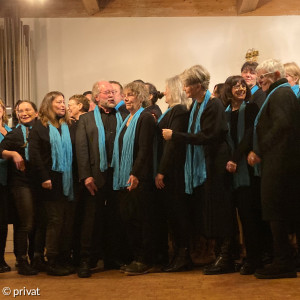 Der Gospelchor beim Auftritt